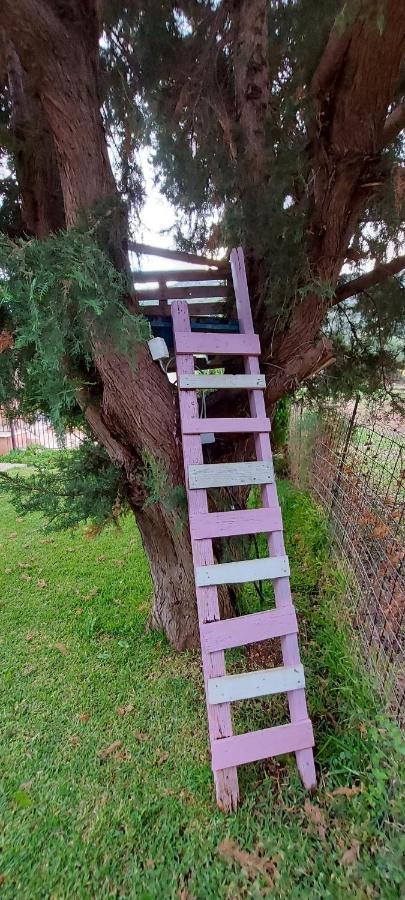 The Seasons Of Nickolas Agia Efimia Exterior foto